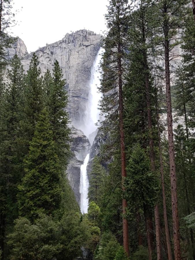 科斯戈尔德 Yosemite Foothill Retreat酒店 外观 照片