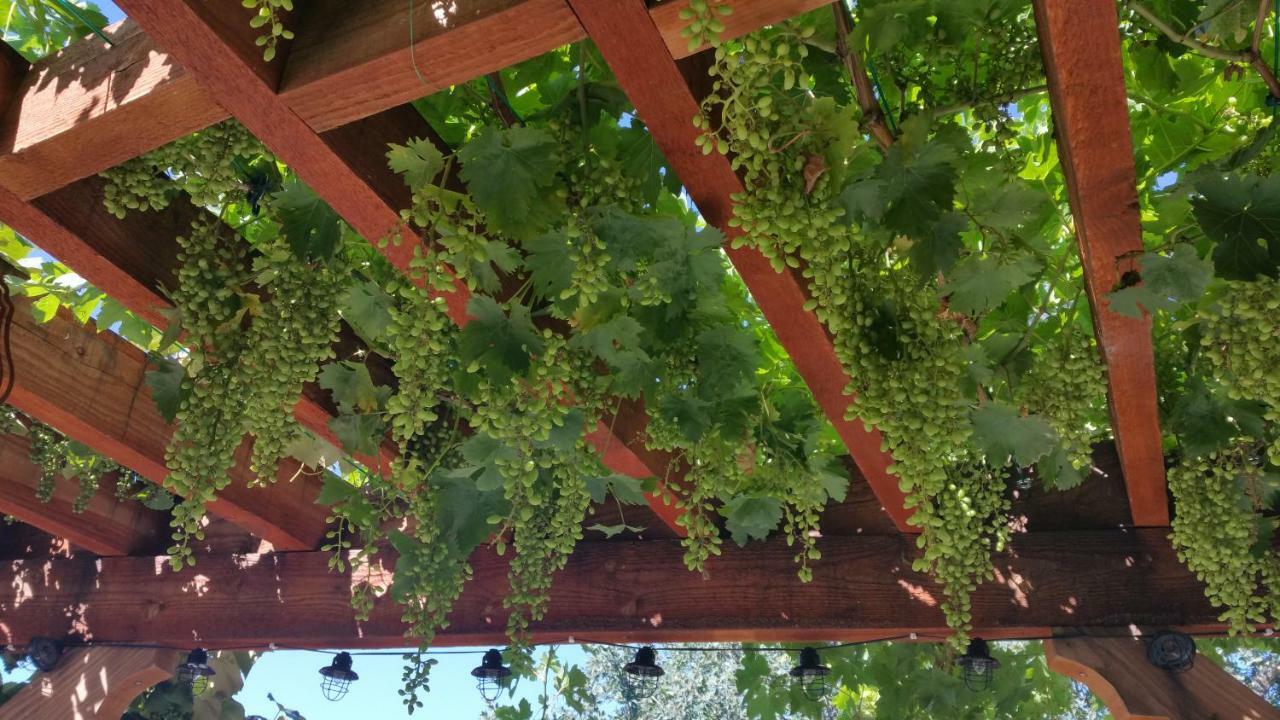 科斯戈尔德 Yosemite Foothill Retreat酒店 外观 照片