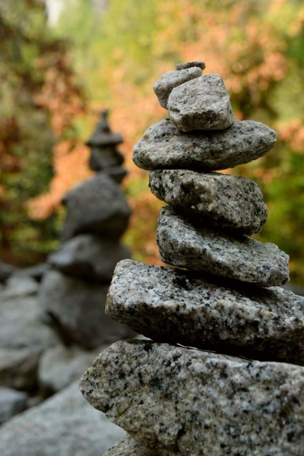 科斯戈尔德 Yosemite Foothill Retreat酒店 外观 照片